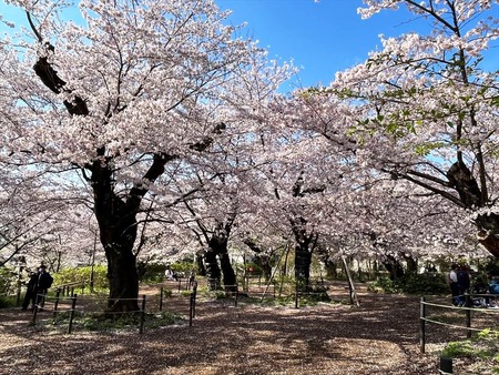 09洗足公園