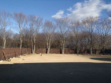 54風呂からの景色