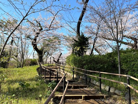 08小高い丘に登る
