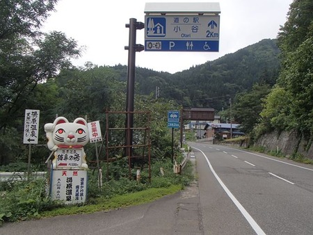 55