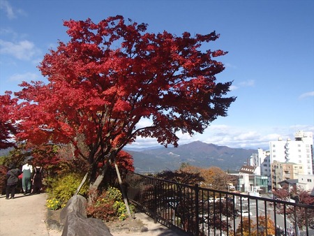29紅葉