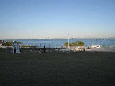 IMG_0274