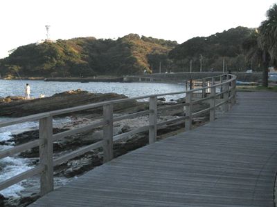 IMG_0282