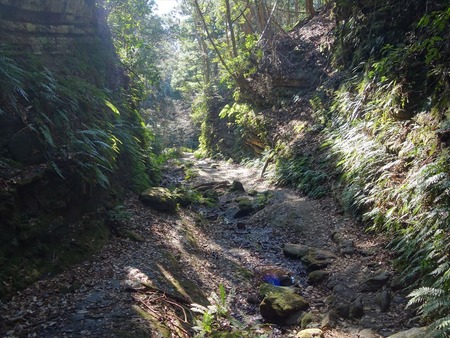 36川沿いの湿った道