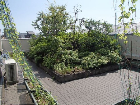 P7180020
