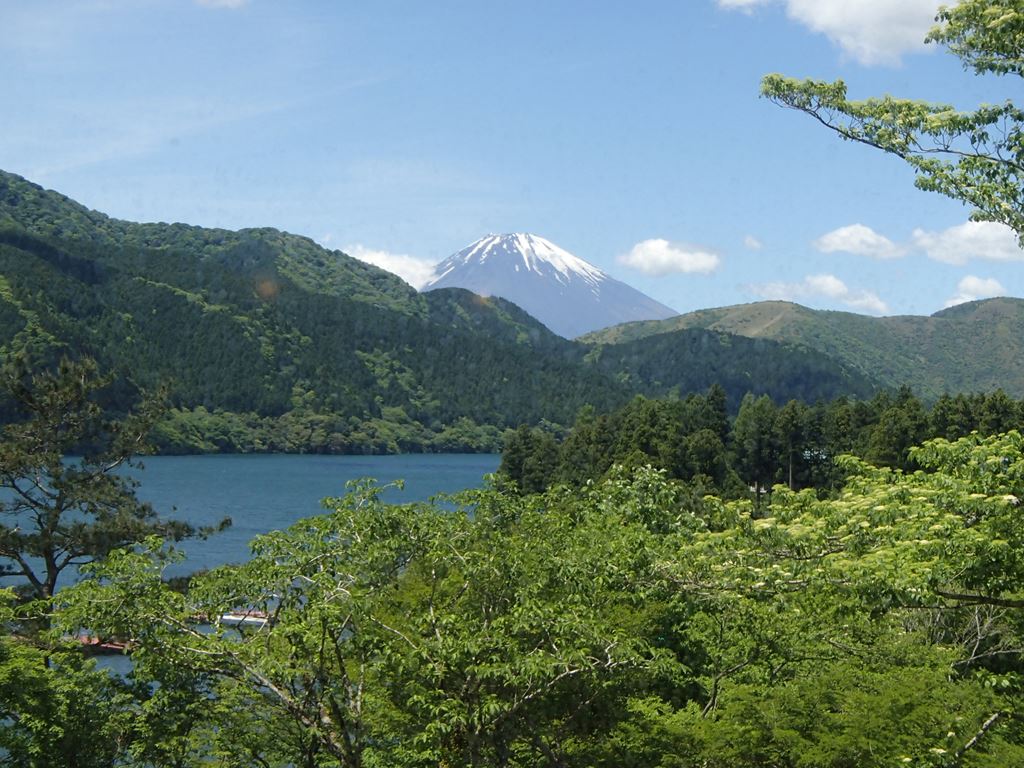 箱根 龍宮殿本館 で絶景日帰り温泉を楽しむ ディスカスの逍遥日誌 箱根 龍宮殿本館 で絶景日帰り温泉を楽しむ ディスカスの逍遥日誌