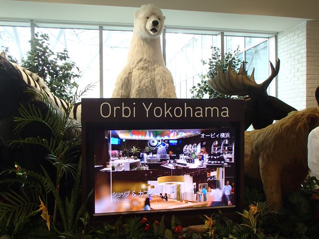 みなとみらい オービィ横浜 へ行ってみた ディスカスの逍遥日誌 みなとみらい オービィ横浜 へ行ってみた ディスカスの逍遥日誌