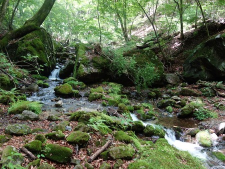 66苔むした流れ