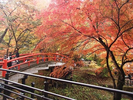 002河鹿橋