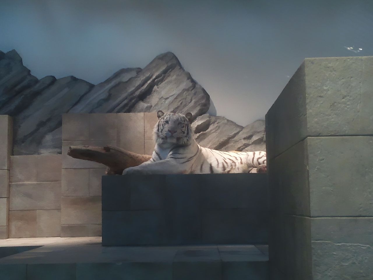 ニフレル 水辺に触れるゾーン Yypapaのひとりごと 旧 ニフレル 水辺に触れるゾーン Yypapaのひとりごと 旧