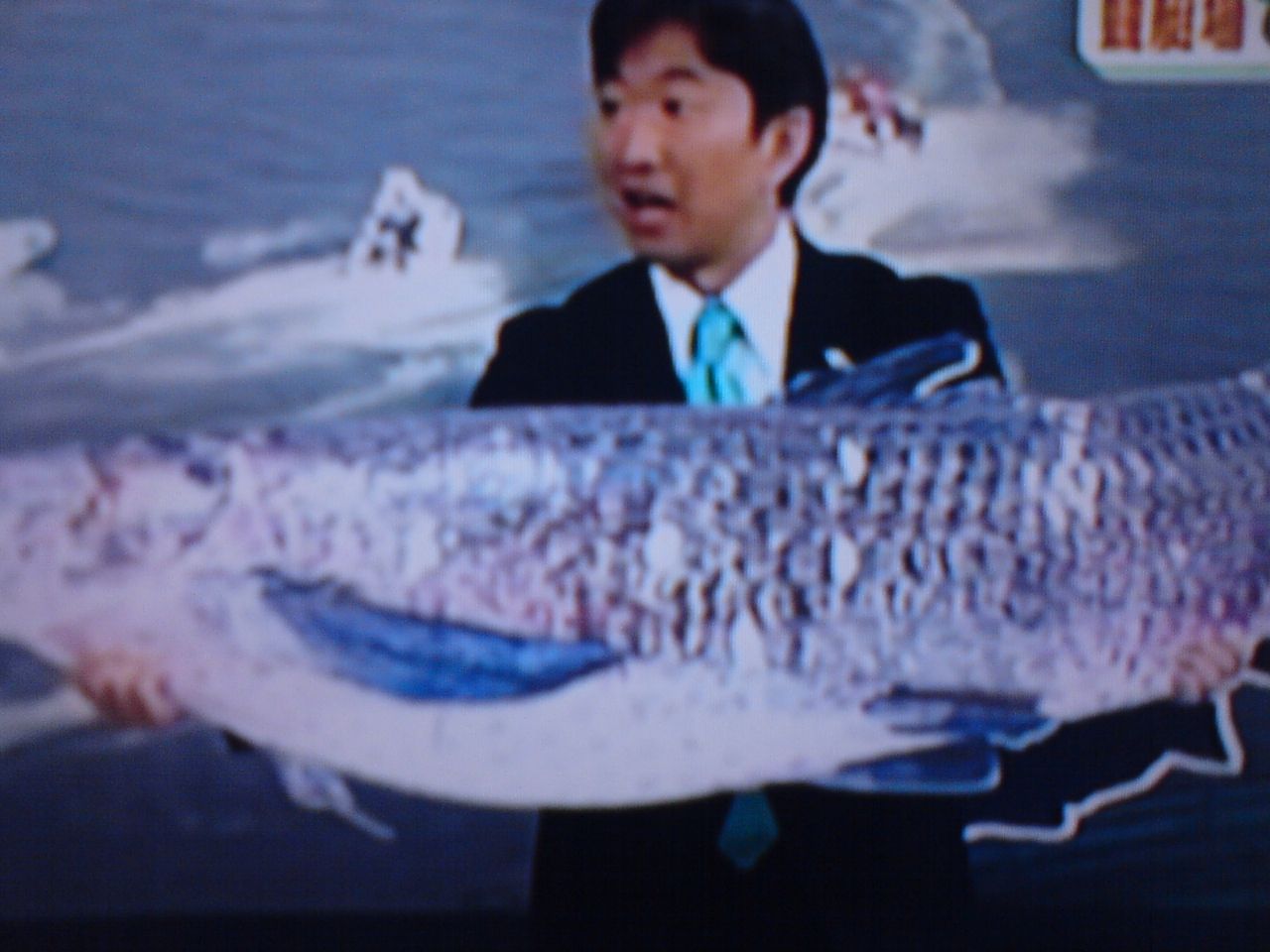 幻の巨大魚は実在した 競艇場でひそかに50年間も Yypapaのひとりごと 旧
