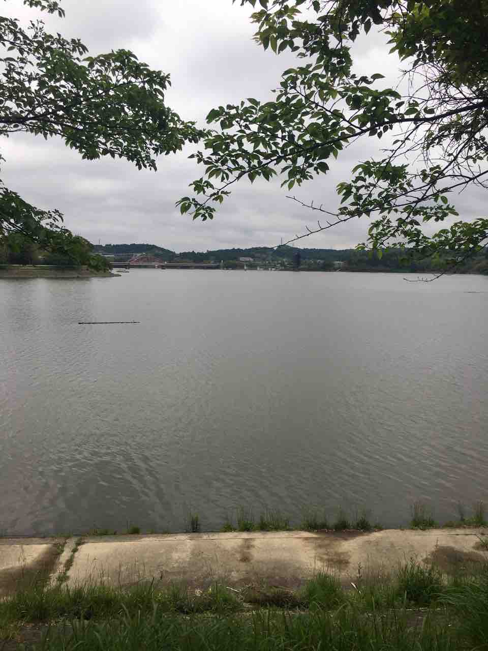 高滝湖 Gw陸っぱり釣行 千葉県で釣りを広く浅く楽しんでるブログ 高滝湖 Gw陸っぱり釣行 千葉県で釣りを広く浅く楽しんでるブログ
