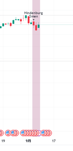 �ҥ�ǥ�֥륯����������� 2020905