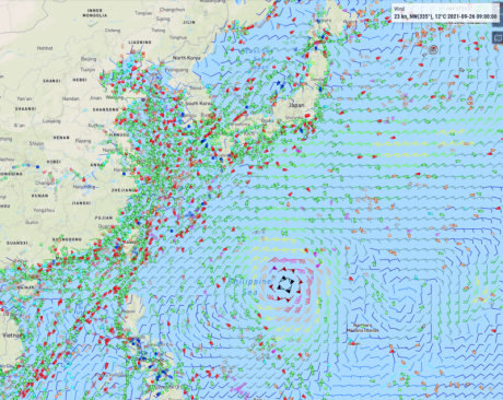 AIS Marine Traffic
