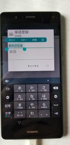 p9lite 001 (15)