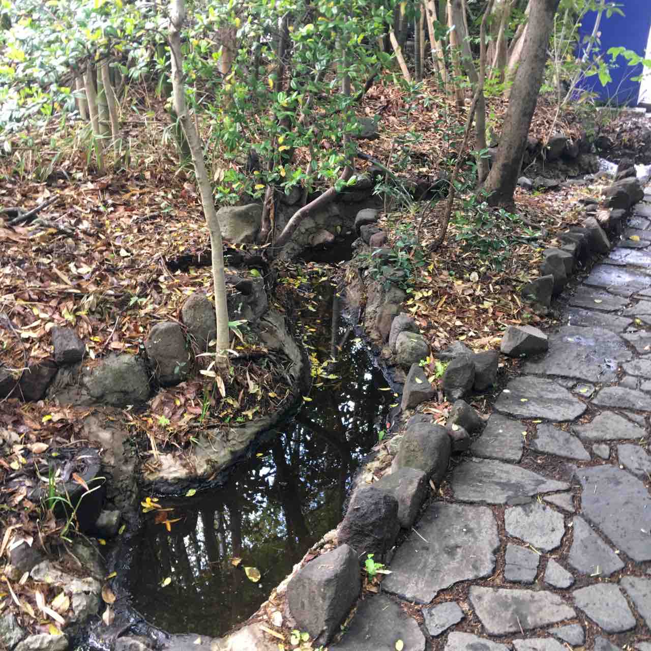 ランチ 民芸茶屋 味蔵 とり炭焼と瓶ビール In大分県別府市 大分っ子の大分やら別府やらてふてふブログ