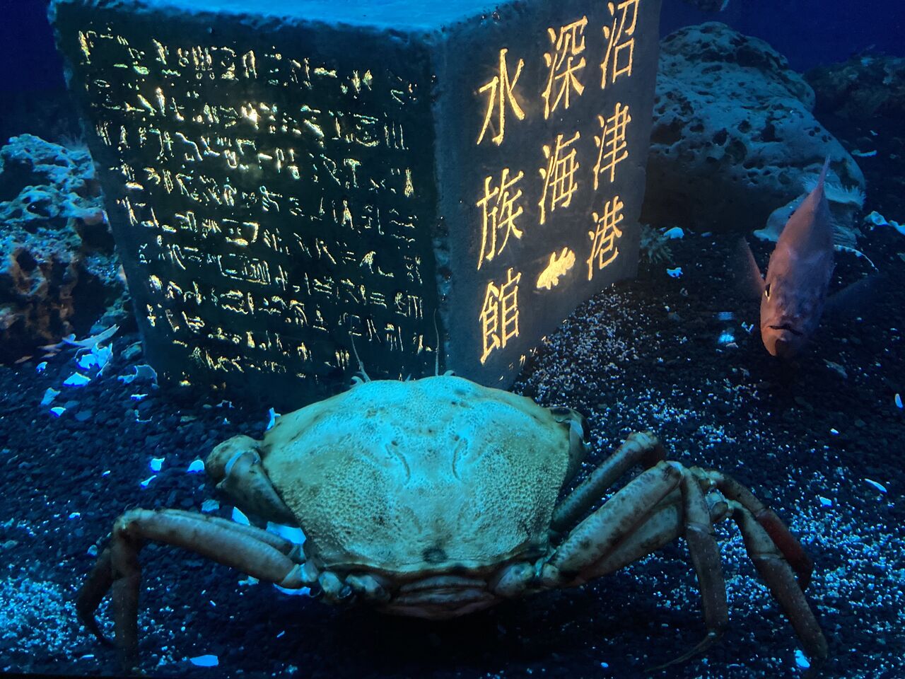 沼津港 理系ミニマリストのひまつぶしブログ 沼津港 理系ミニマリストのひまつぶしブログ