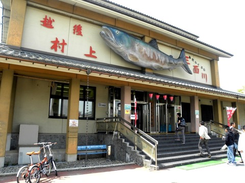 DSCN5373