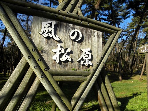 DSCN2217