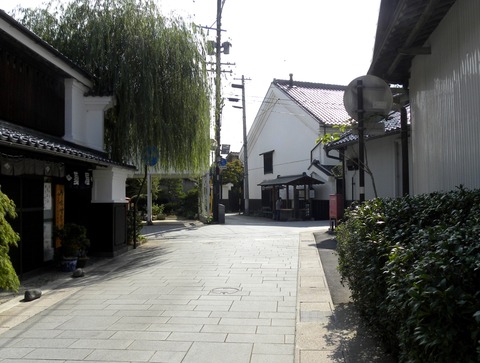 DSCN6006