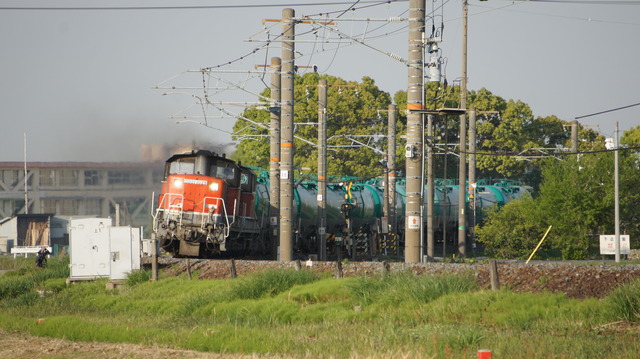 DSC03352