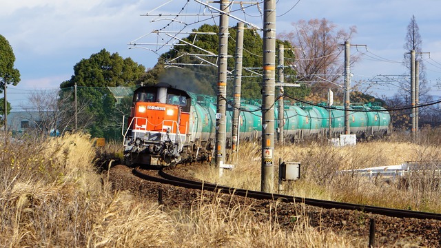 DSC08177