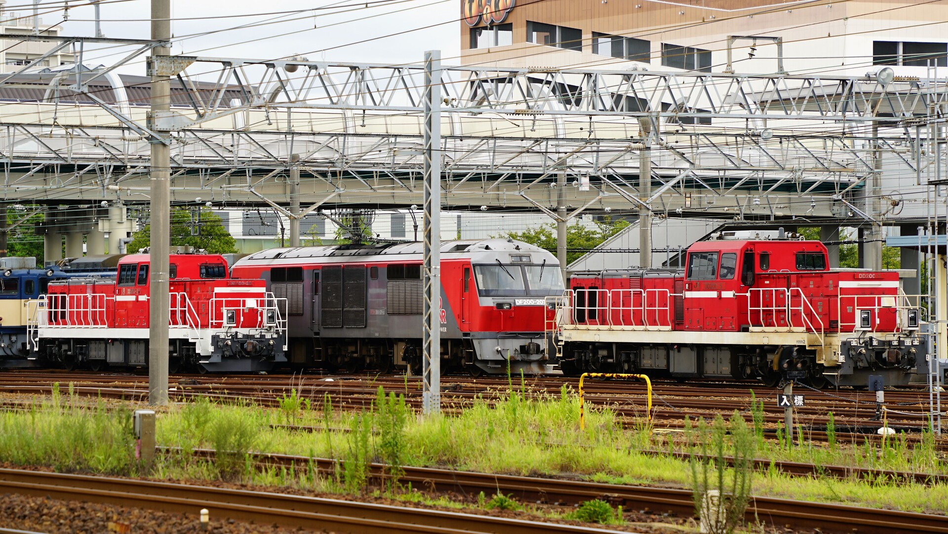 運用を終えたEF64大宮更新色を観察する : Rail Scope