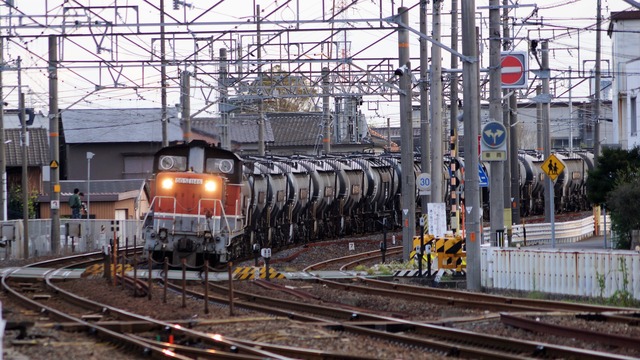 DSC06231