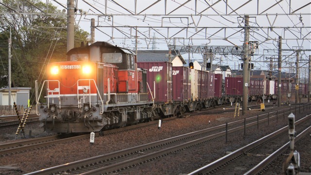 DSC01654