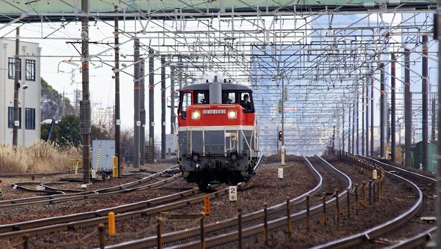 DSC07650