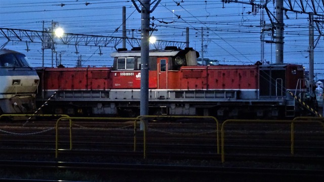 DSC02436