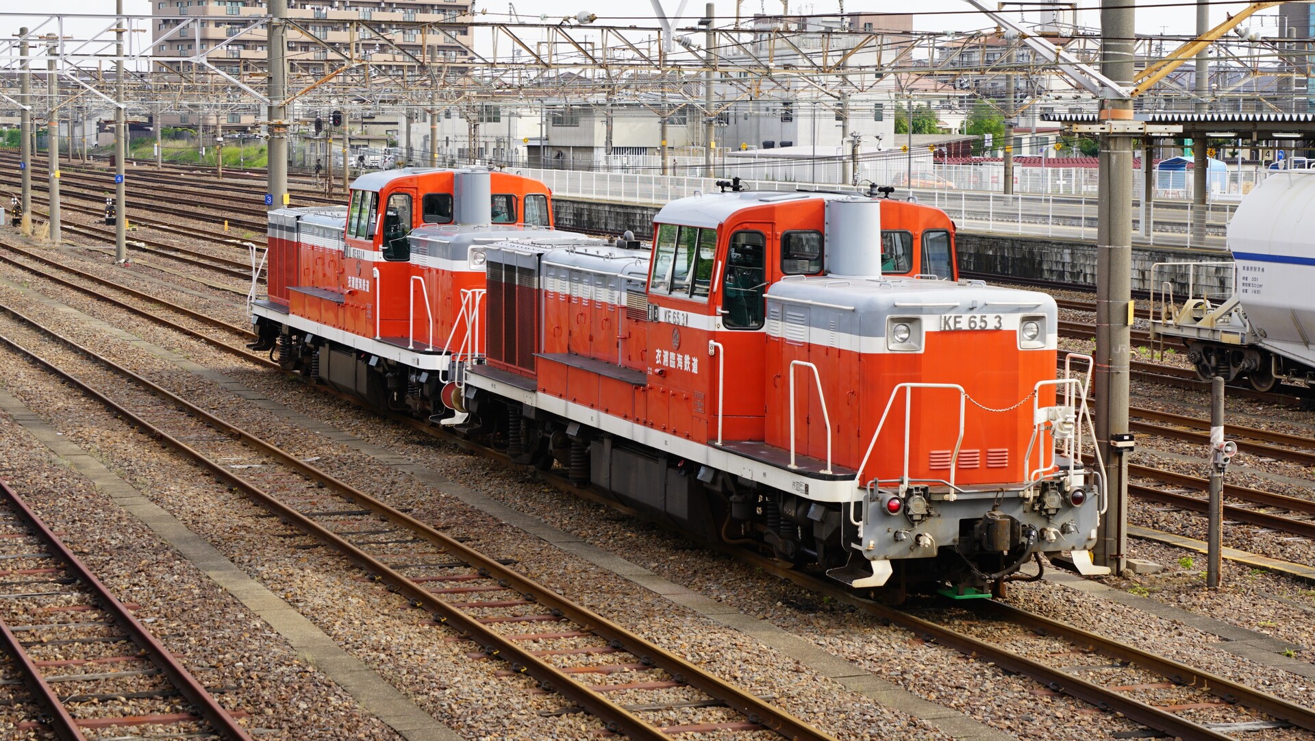 値下！超レア　最新ロット ホキ1100 + 衣浦　KE65　セット 値下！超レア最新ロット ホキ1100 + 衣浦KE65セット