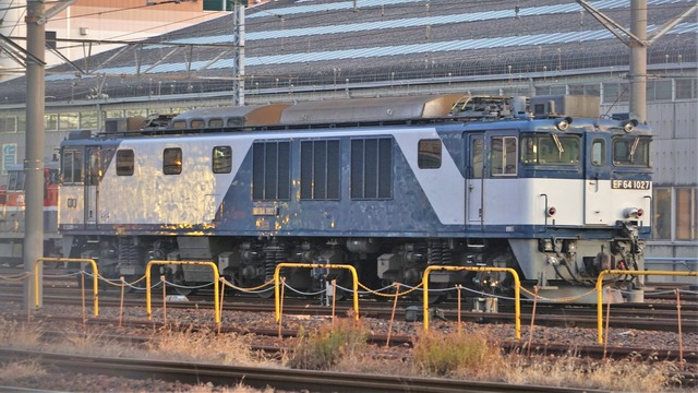 DSC09011