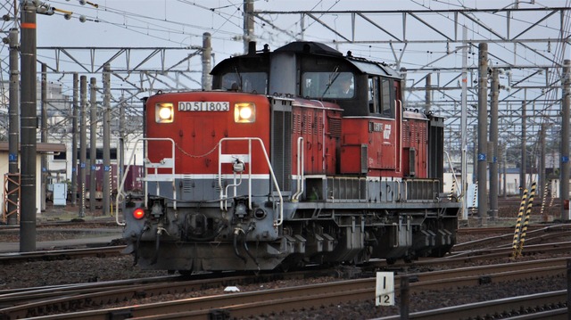 DSC01697