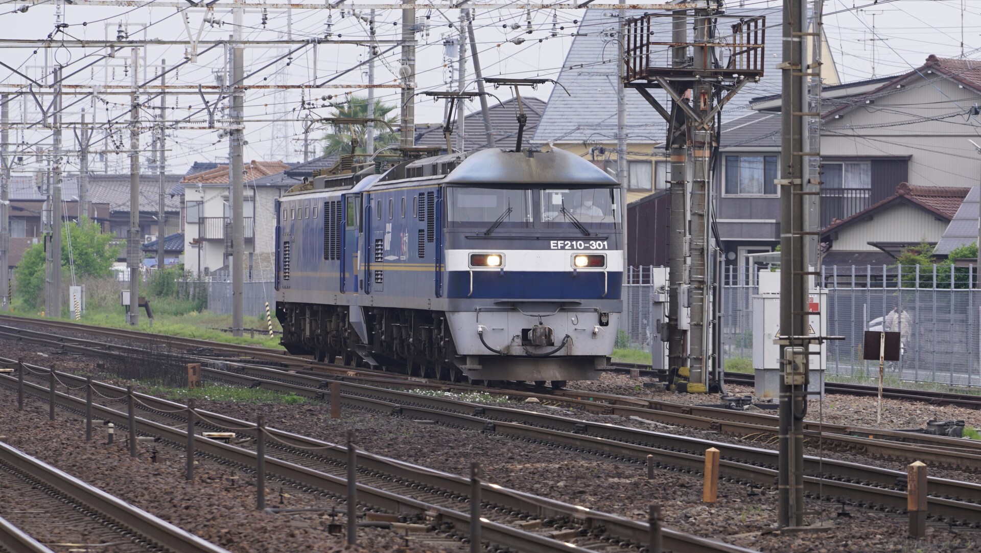 2025年5月16日 今朝の写真 313F大垣行き311系 : Rail Scope