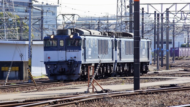 DSC09790