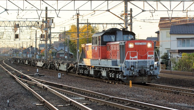 DSC06493