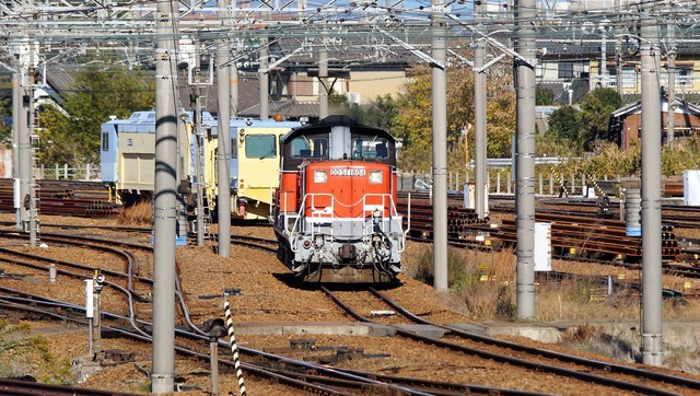 DSC06943