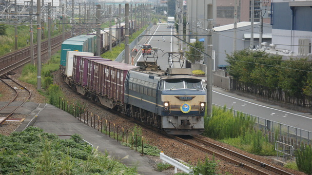 DSC07009