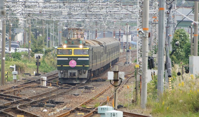 DSC04904