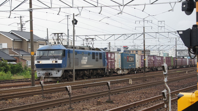 DSC01550