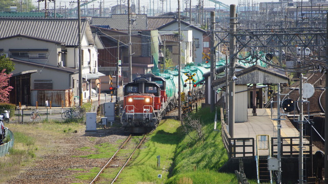 DSC03136