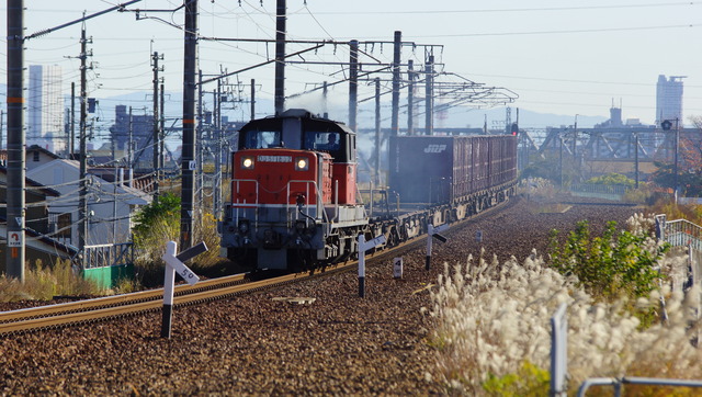 DSC06657