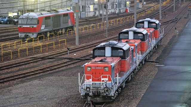 DSC09501