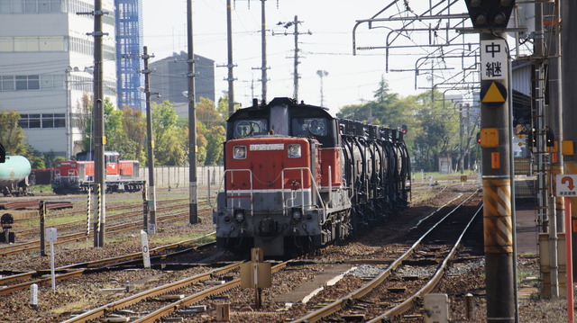 DSC03197