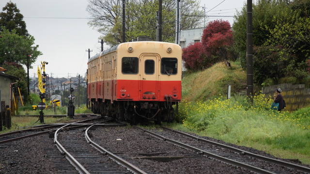DSC09845