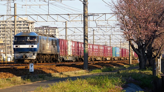 DSC02155