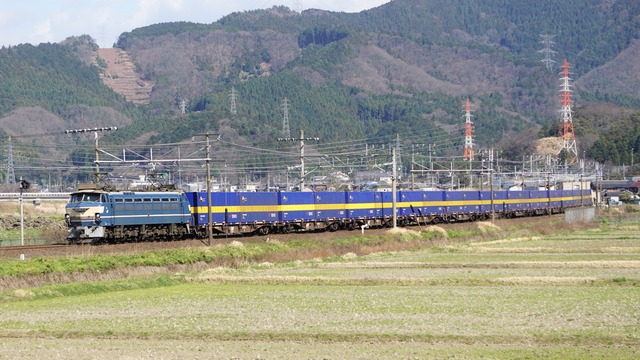 DSC01924