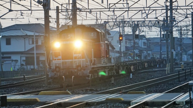 DSC08557