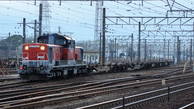 DSC09501